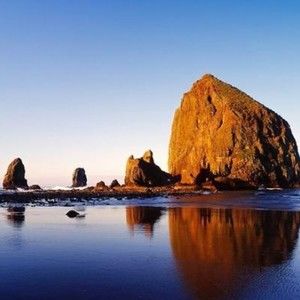 Meet your Posher, Judith